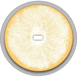 A circular pattern of white lines radiates from a central rectangle on a yellow and grey background.