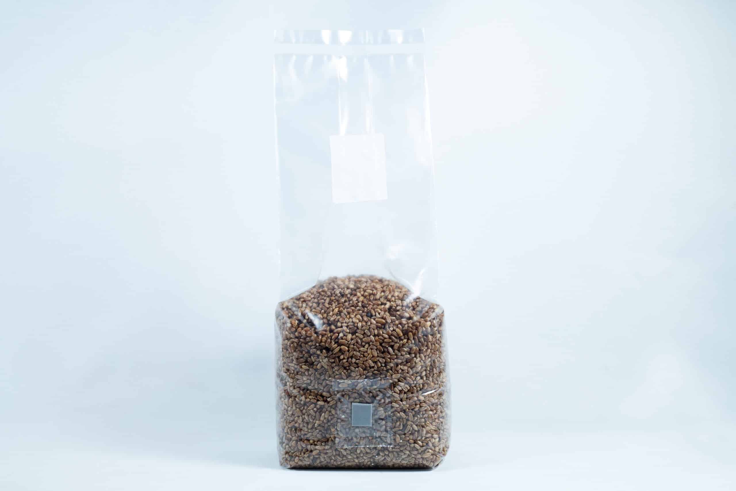 A clear plastic bag of rye grain organic pre-sterilised for mushroom cultivation with injection port and air filter against a plain white background.