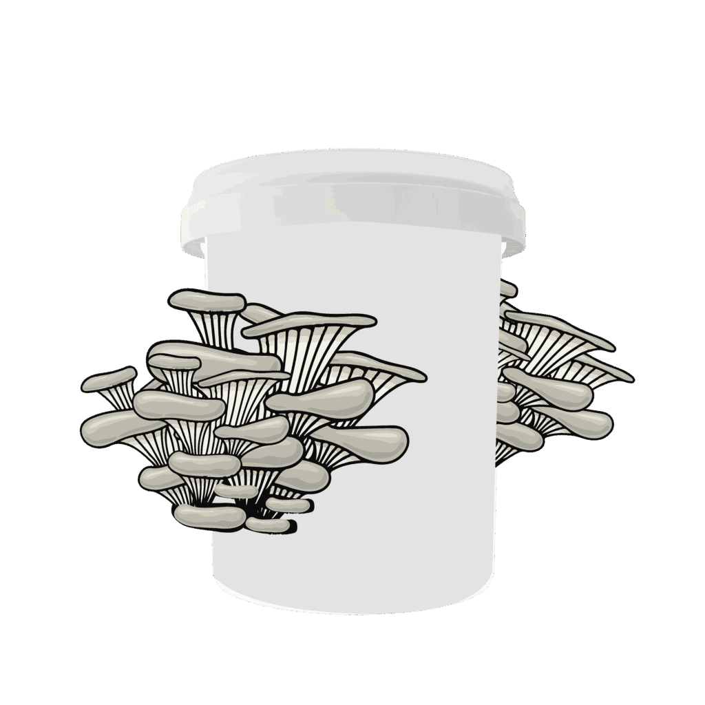Complete Guide to Grow Mushrooms in Buckets 15 bucket with mushroom1 01