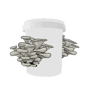 bucket with mushroom1 01