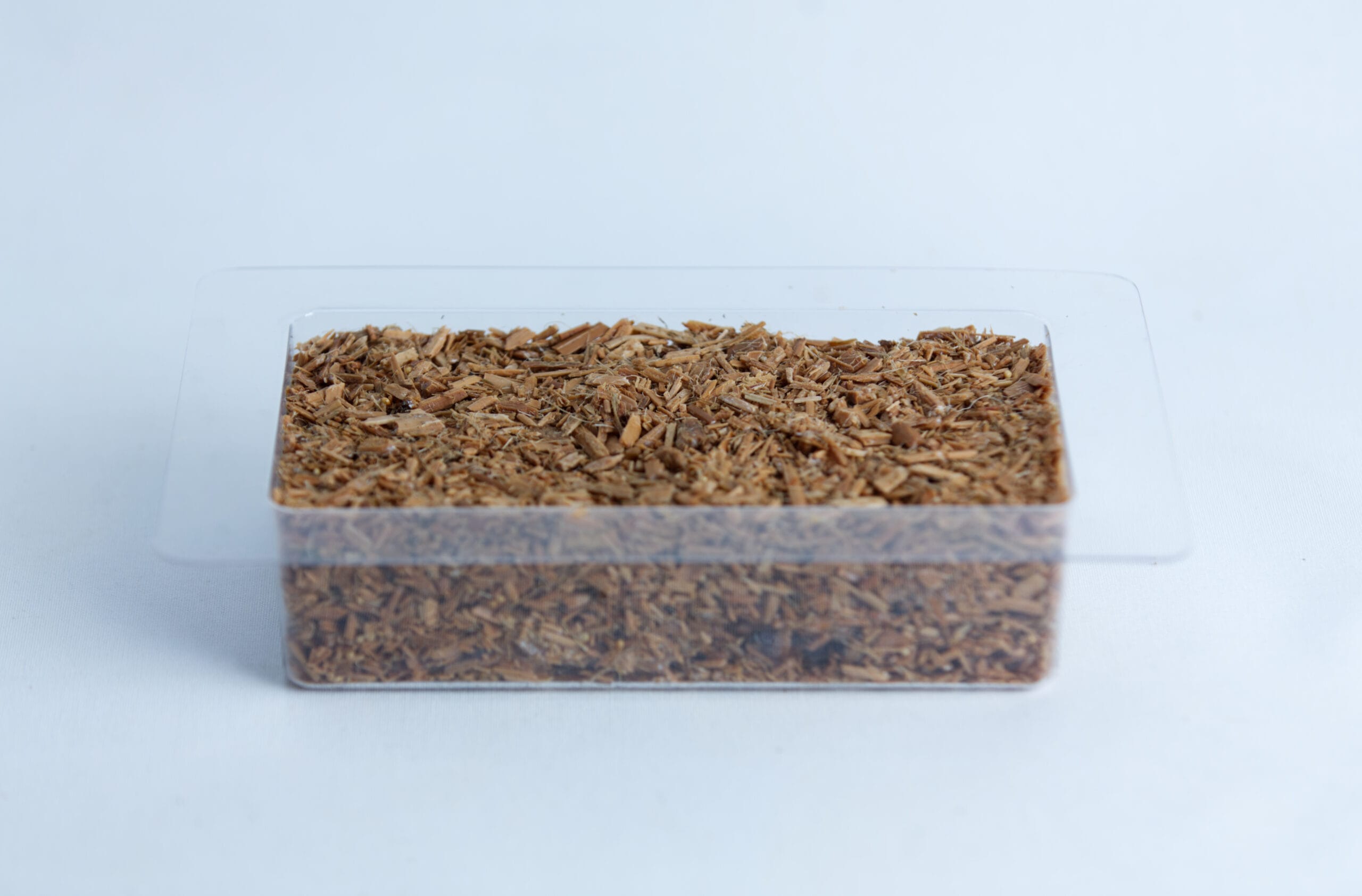 A clear plastic container filled with light brown wood chips on a white background.