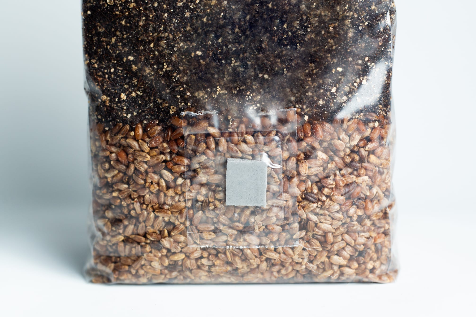 Clear plastic bag filled with grains and soil, sealed with a small square filter patch on the front.