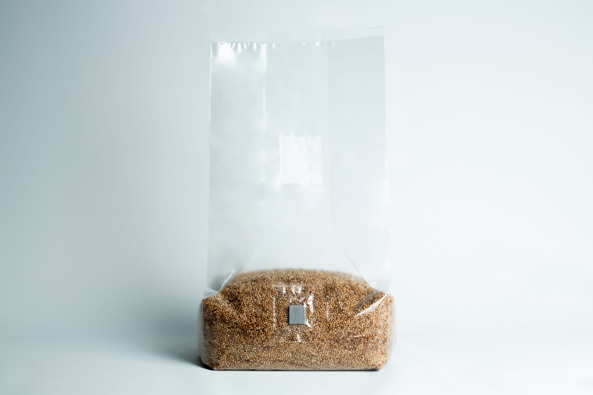 A clear plastic bag filled with brown sugar sits on a plain white background.