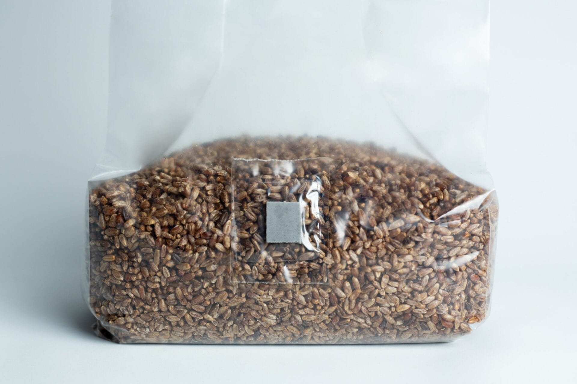 A sealed plastic bag filled with grains, viewed against a plain white background.