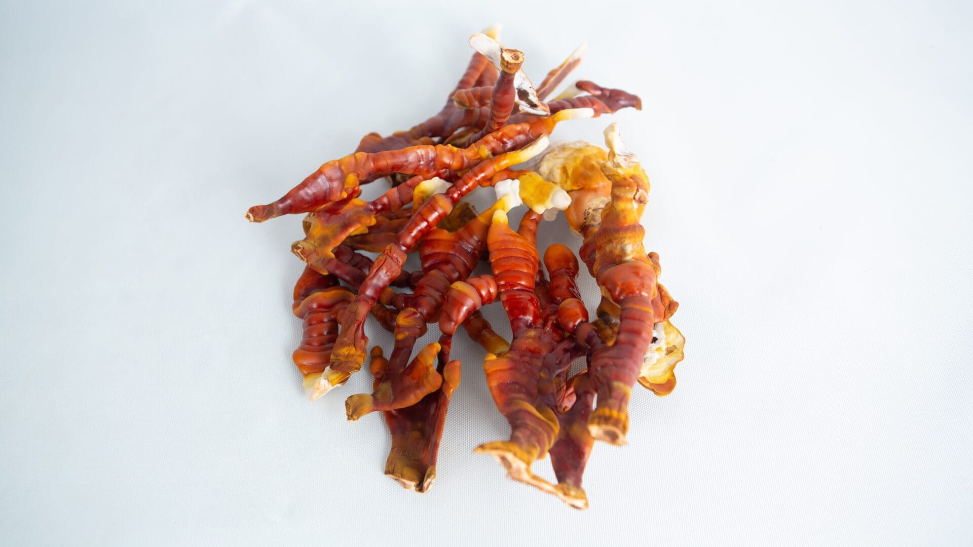 A cluster of orange and brown dried sea cucumbers rests on a white background, evoking the natural textures seen in a CO2 Generator Bag 3kg.