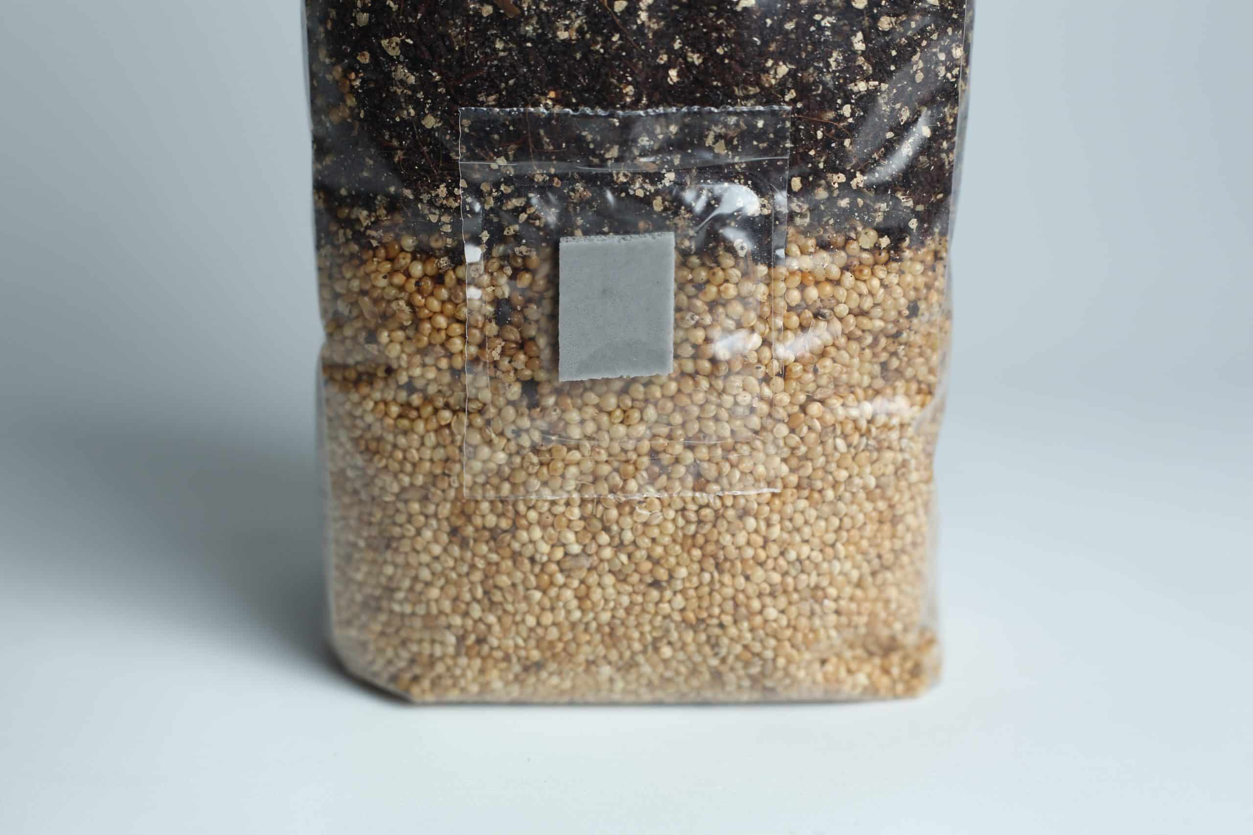 A plastic bag filled with white grains at the bottom and dark soil at the top.