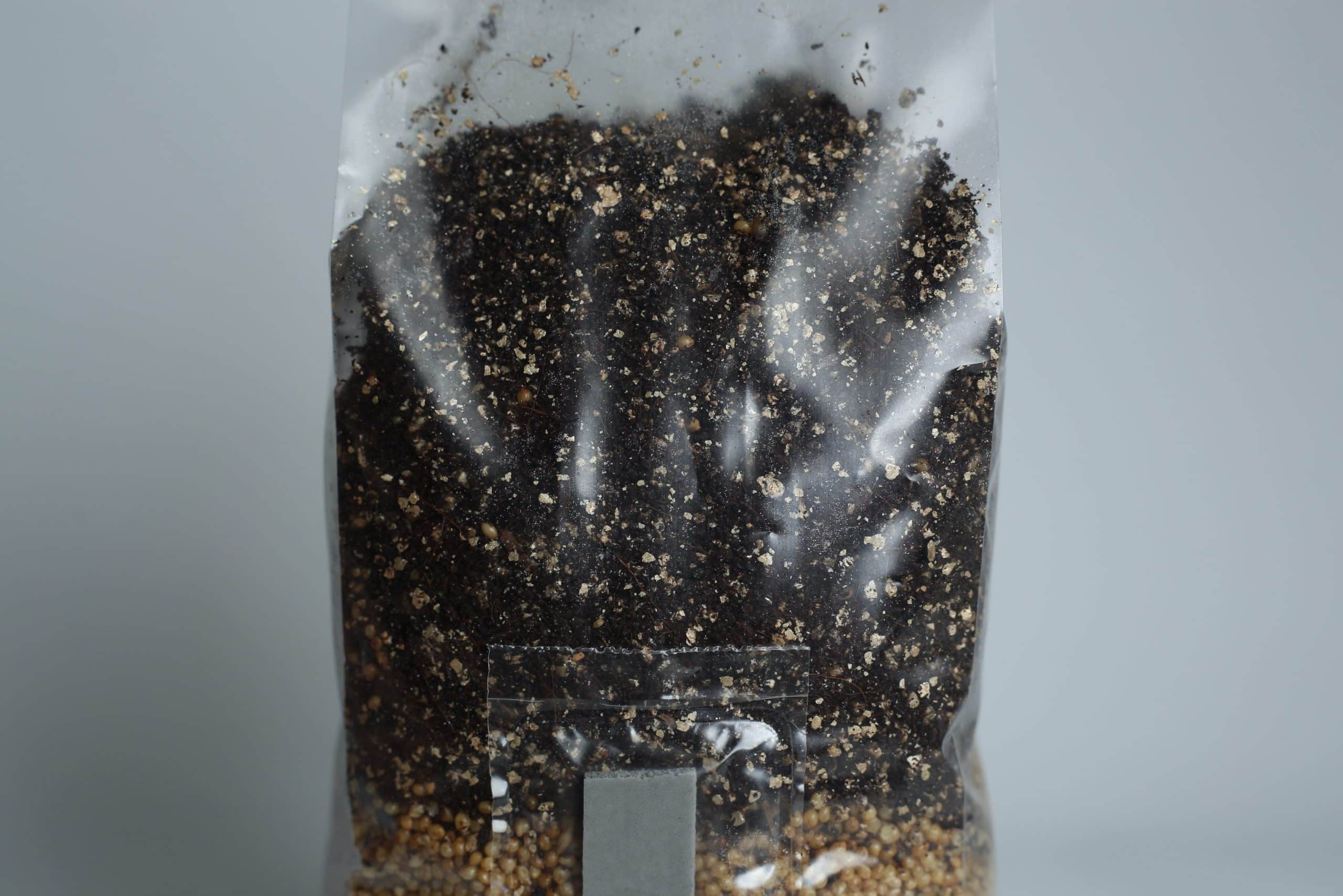 A clear plastic bag filled with potting compost and small stones, sealed at the top.