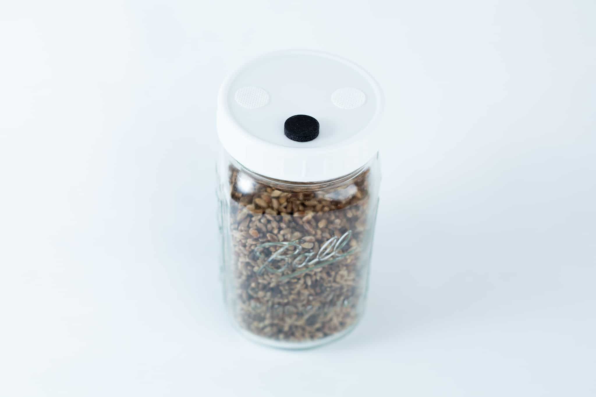 A 1L Grain Jars jar, pre-sterilised and filled with organic millet and rye seeds, comes in a reusable glass jar with a white lid, photographed against a simple light background.