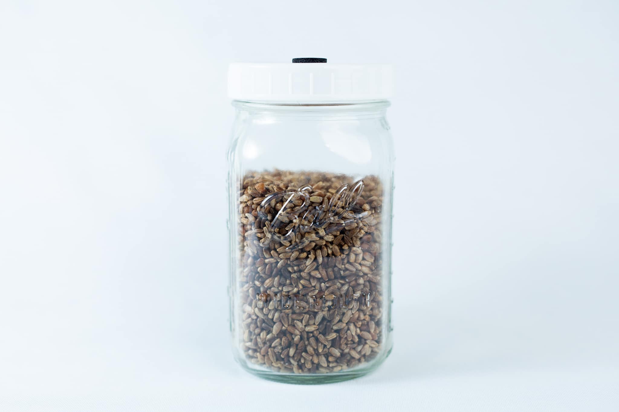 A clear 1L Ball grain jar with a white lid is filled with organic millet and rye, set against a plain white background. The pre-sterilised jar and lid are reusable.
