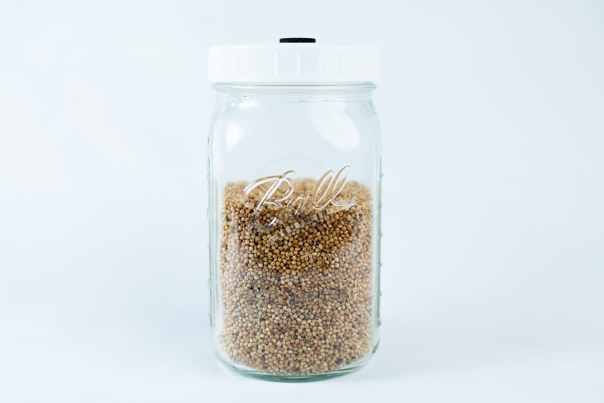 1000 liter Millet Jar Grain