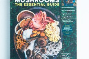 Book cover of Medicinal Mushrooms The Essential Guide by Christopher Hobbs, featuring a bowl filled with assorted mushrooms.