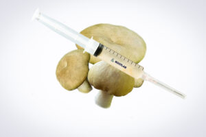 A syringe of Mushroom Liquid Culture | Wood Ear | Auricularia auricula-judae is displayed atop three Wood Ear mushrooms on a white background.