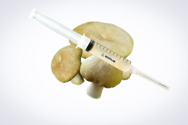 A syringe of Mushroom Liquid Culture | Wood Ear | Auricularia auricula-judae is displayed atop three Wood Ear mushrooms on a white background.