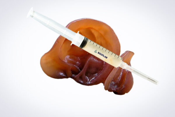 A syringe of Mushroom Liquid Culture | Wood Ear | Auricularia auricula-judae sits atop a human liver model.