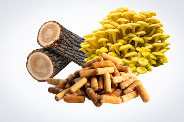 A vial of Mushroom Liquid Culture | Yellow Oyster (Pleurotus citrinopileatus) is arranged with two tree logs and brown supplement capsules on a white background.