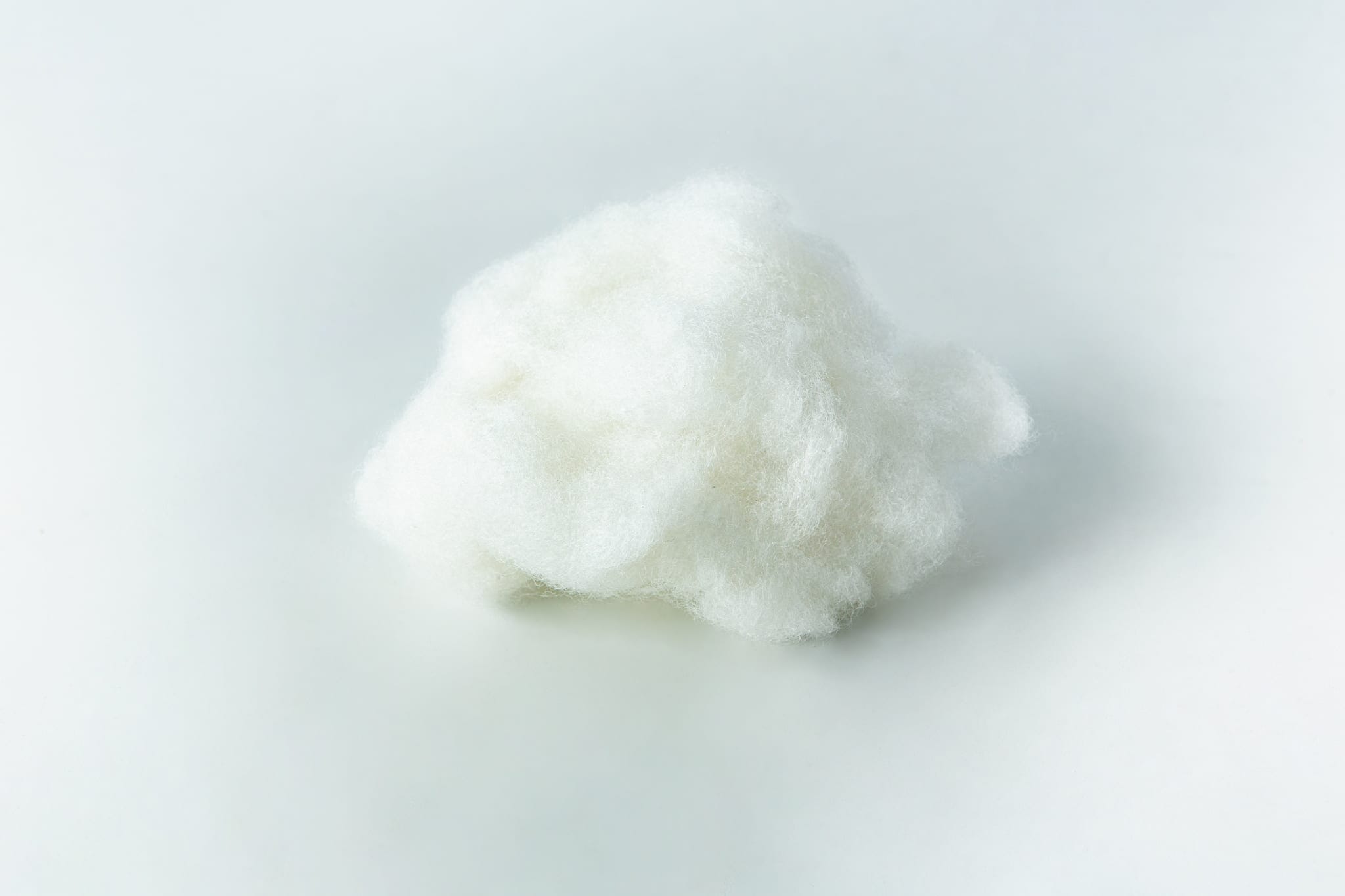 A small, fluffy white ball of cotton against a plain white background.