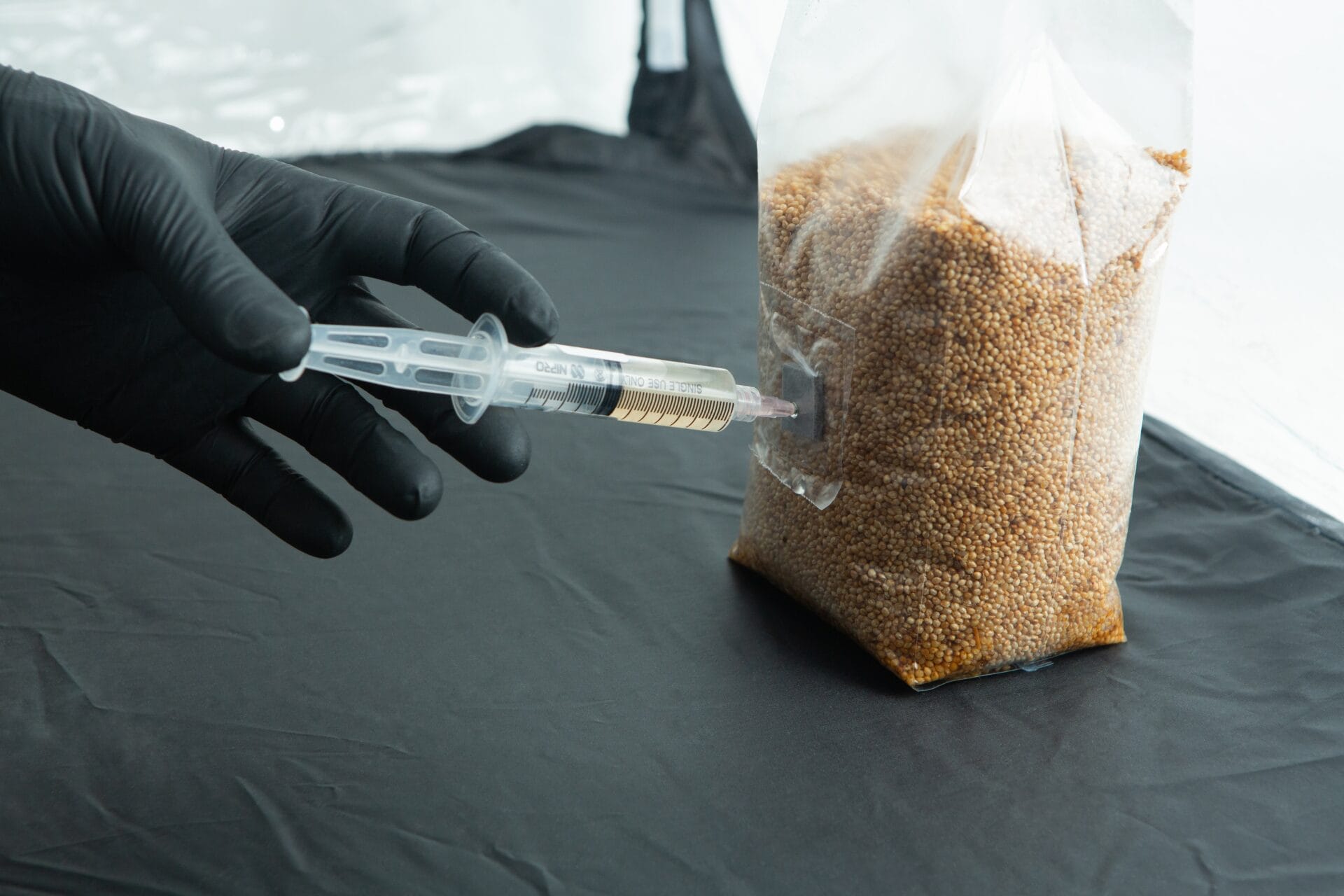 A gloved hand injects liquid from a syringe into a plastic bag filled with brown grains.