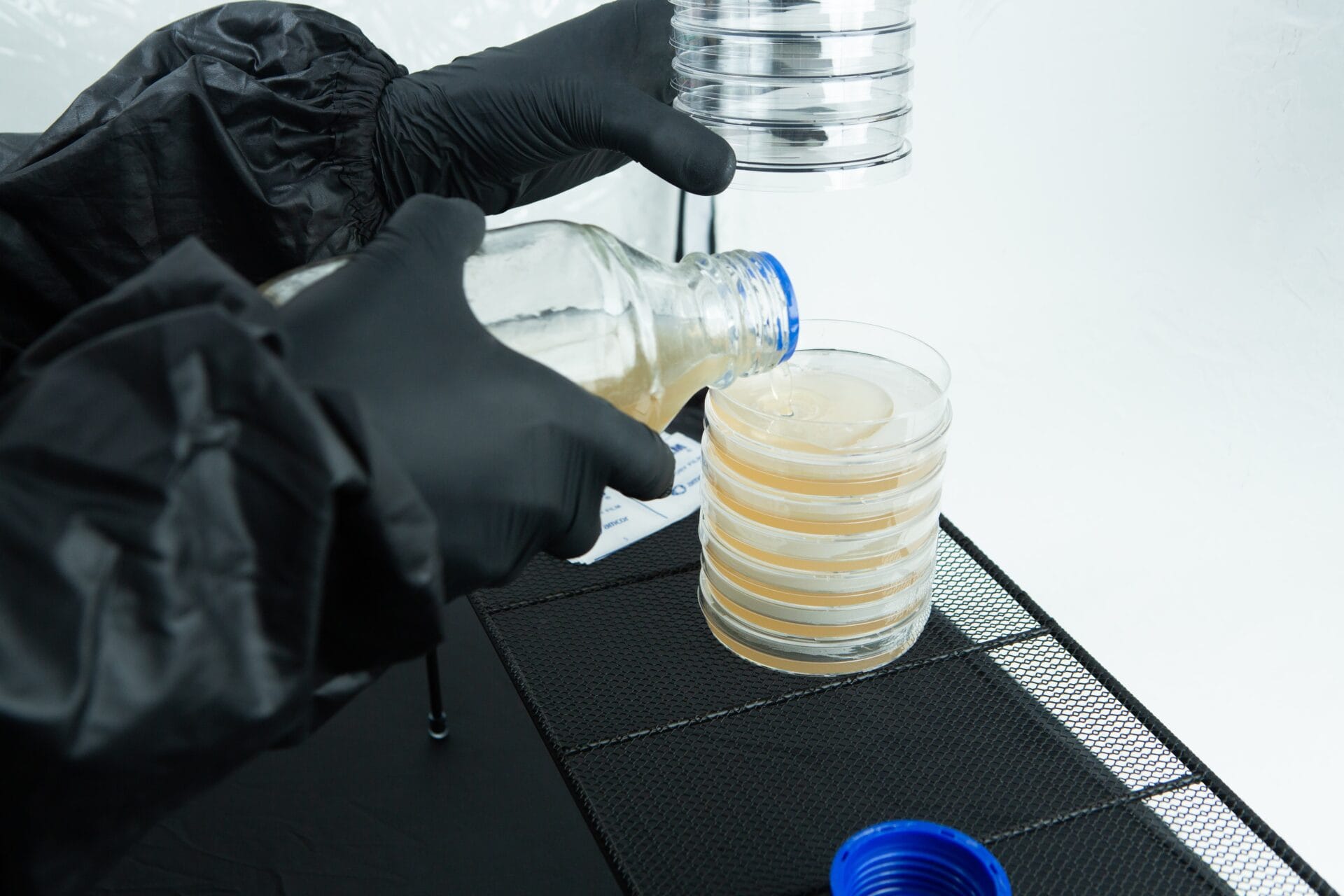 Person in black gloves pours liquid into stacked petri dishes on a lab bench.