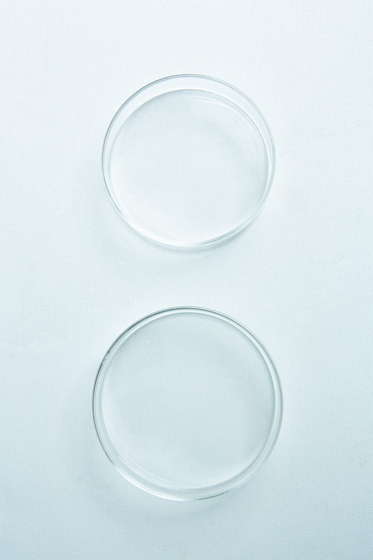 Two empty, round glass petri dishes placed vertically on a white surface.