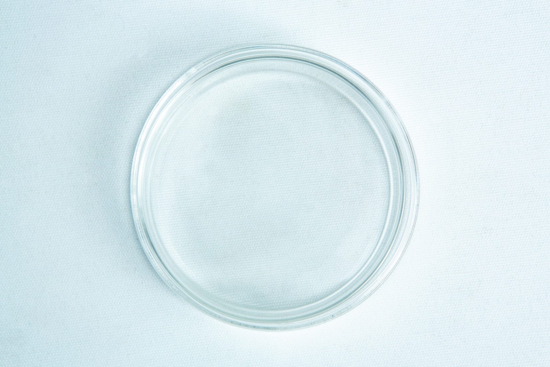 A clear, empty glass petri dish on a white textured surface, viewed from above.