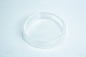 A clear, empty glass Petri dish on a white surface.