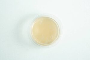 Biodegradable Agar Cups (MEA | MEAG) filled with light brown liquid, shown from above on a white background.
