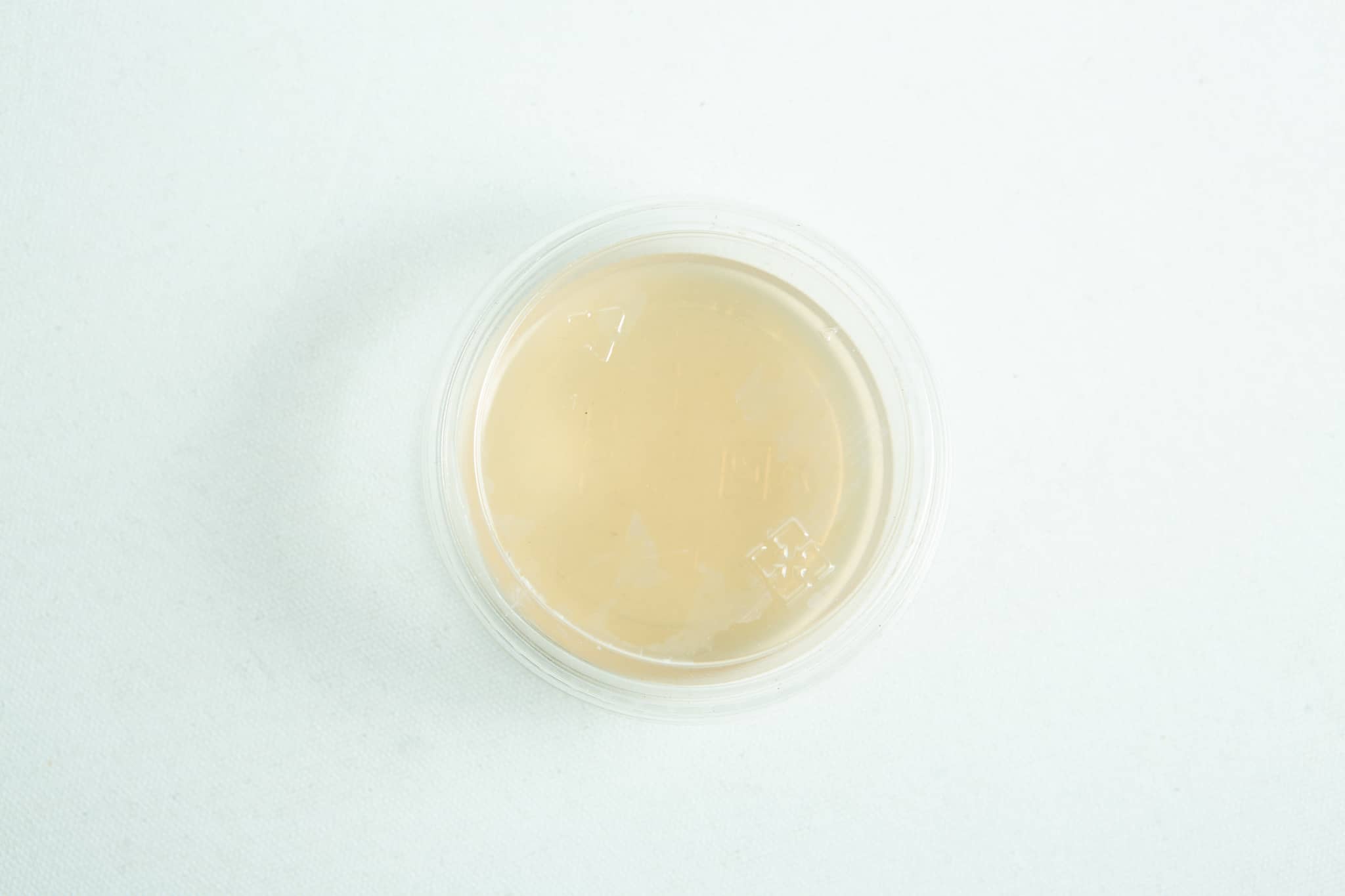 Biodegradable Agar Cups (MEA | MEAG) filled with light brown liquid, shown from above on a white background.