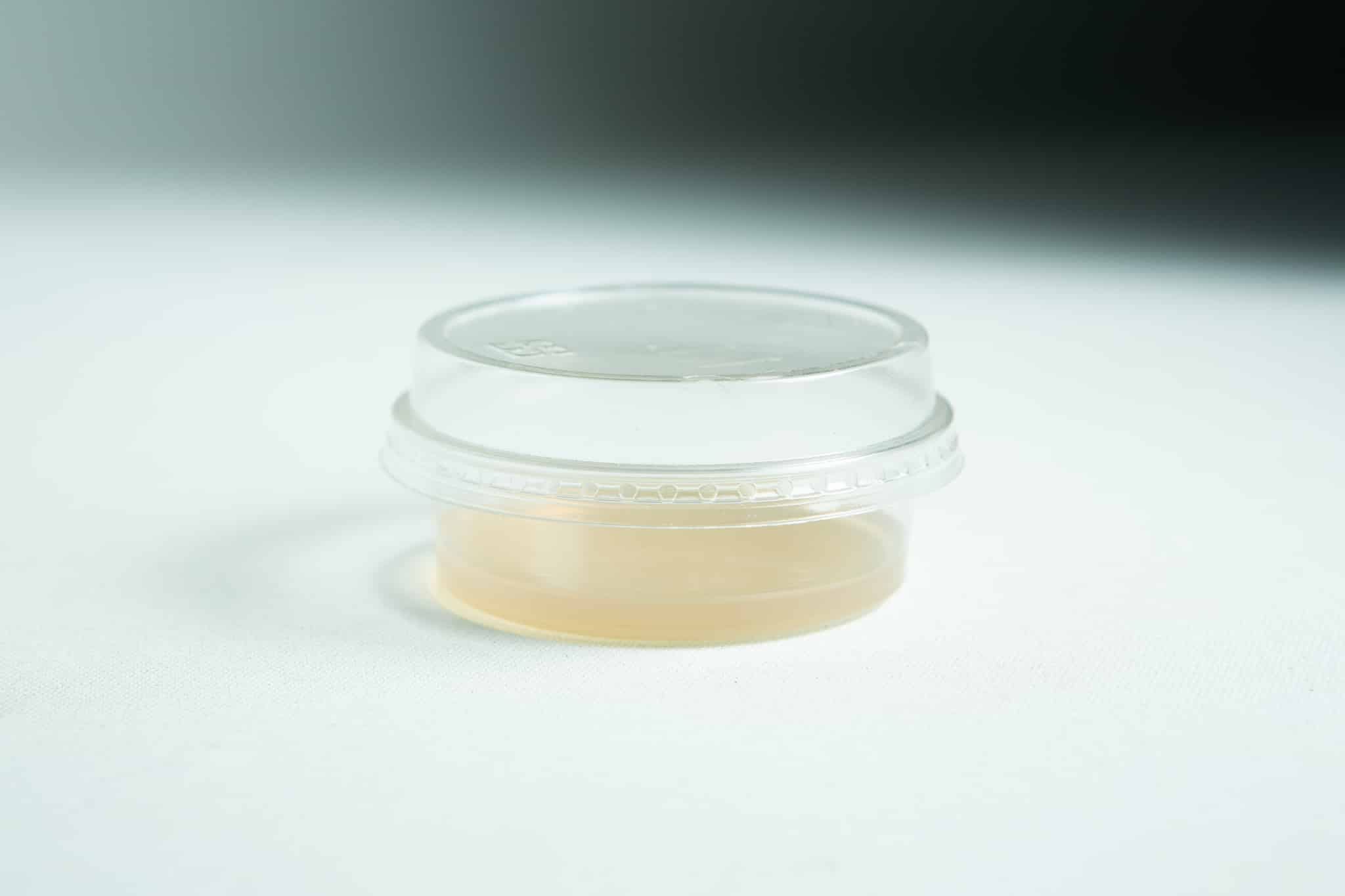 A small, clear Biodegradable Agar Cup | MEA | MEAG with a lid, containing light beige liquid (MEA), sits on a white surface.