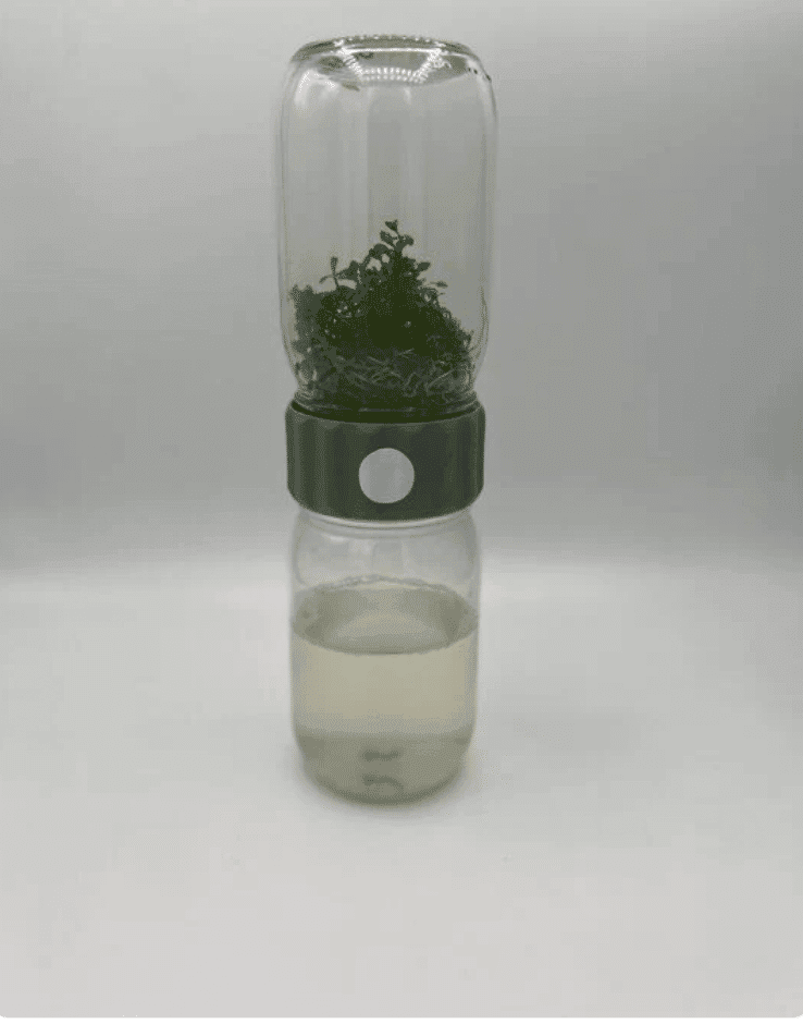 The Plant Cell Biocoupler™ Glass Set (470ml, 350ml, 230ml) features a glass bottle with green plants on top, cloudy liquid at the bottom, and a grey cap connecting them.