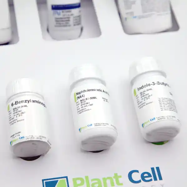 Three white bottles labelled with the Plant Cell logo are displayed on a white surface, featuring the Plant Cell Tissue Culture Starter Kit—ideal for starting your tissue culture journey.
