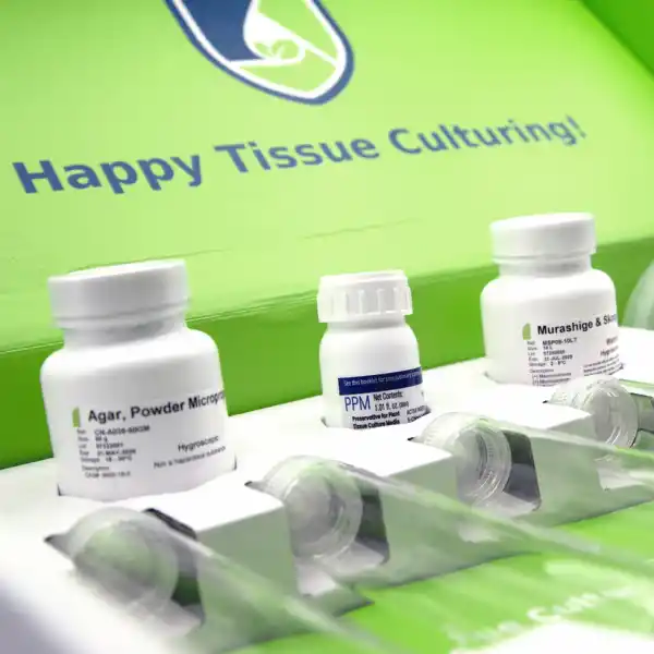 Three white Plant Cell Tissue Culture Starter Kit bottles are displayed in front of a green sign that says "Happy Tissue Culturing!.