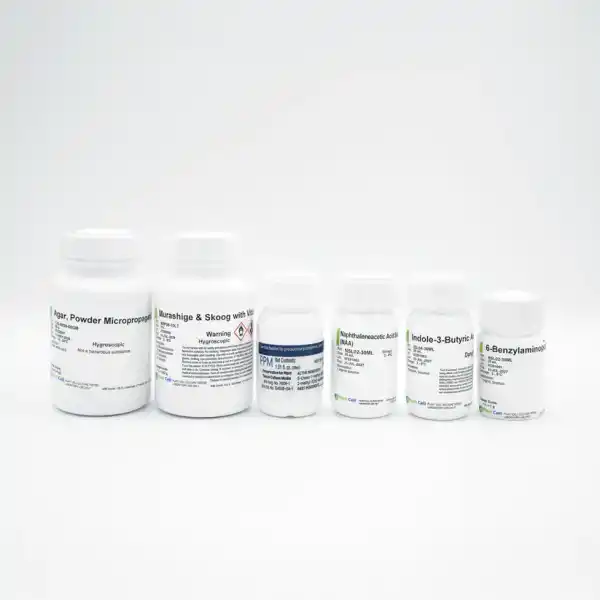 The Plant Cell Tissue Culture Starter Kit includes six labelled white laboratory bottles, arranged in a row on a plain white background—perfect for tissue culture or as part of a plant cell starter kit.