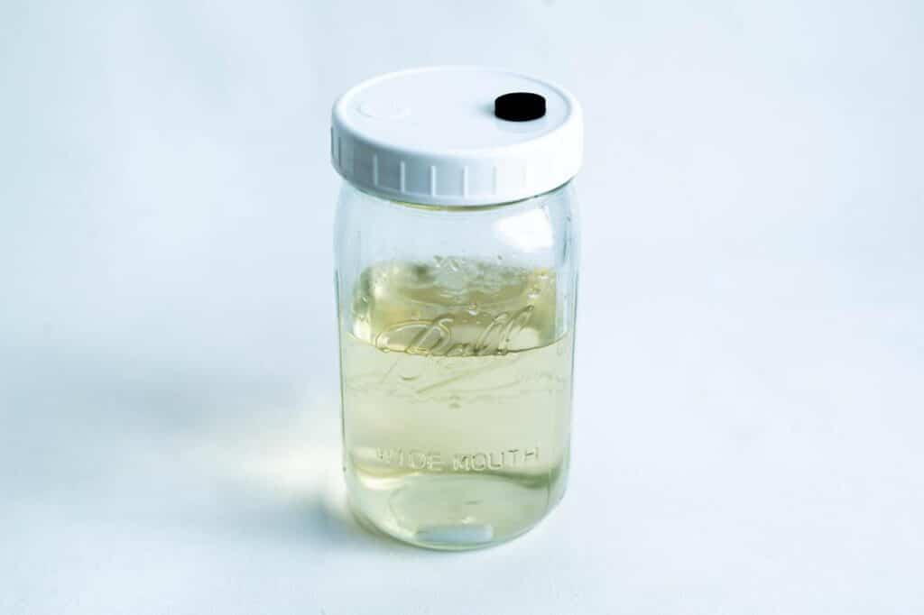 How to Sterilize Liquid Culture Jar in a Microwave? 1 A glass Kilner jar with a white lid, filled halfway with a clear liquid, as seen in guides on how to make MEA mix in the microwave, sits on a white background.