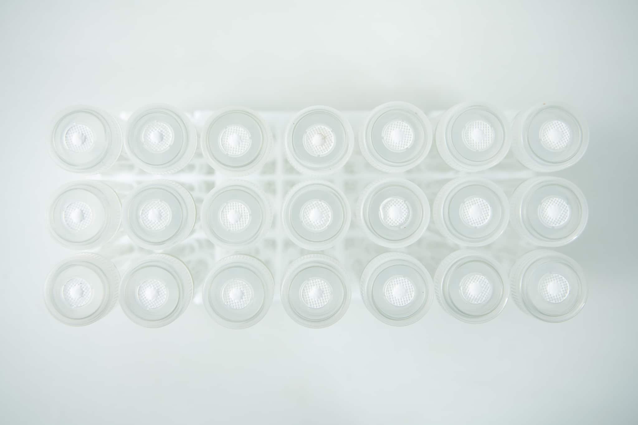 Top view of a rack holding 12 Plant Cell Vented Plant TC Test Tubes, arranged in rows on a white background.