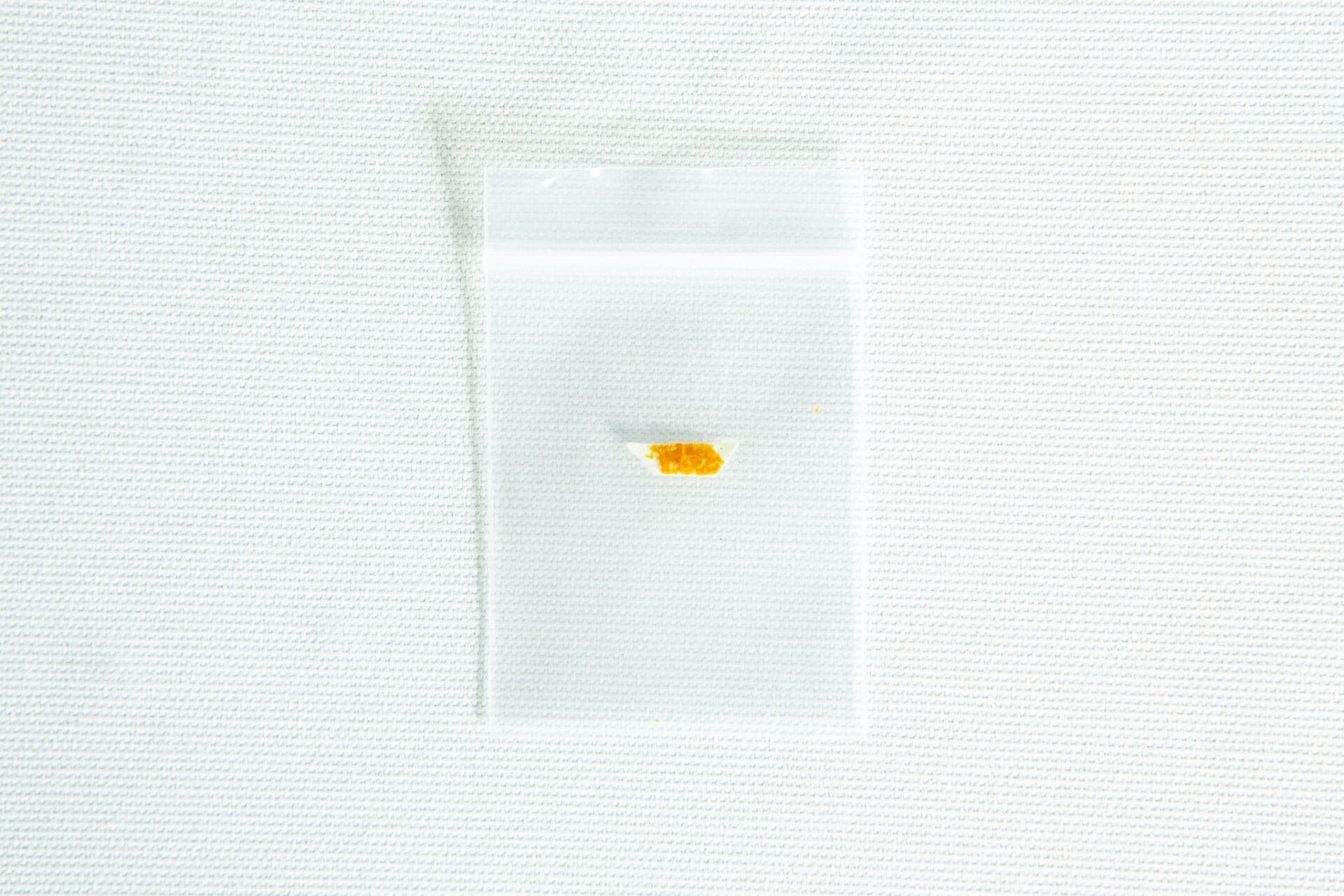 A small clear plastic bag containing a bit of yellow substance from the Slime mould kit – Physarum polycephalum rests on a white textured background.