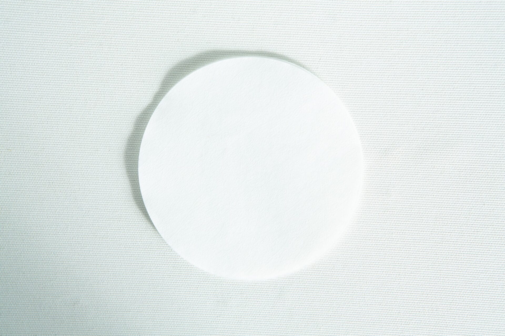 A white cotton pad from the Slime mould kit - Physarum polycephalum sits on a textured, light surface.