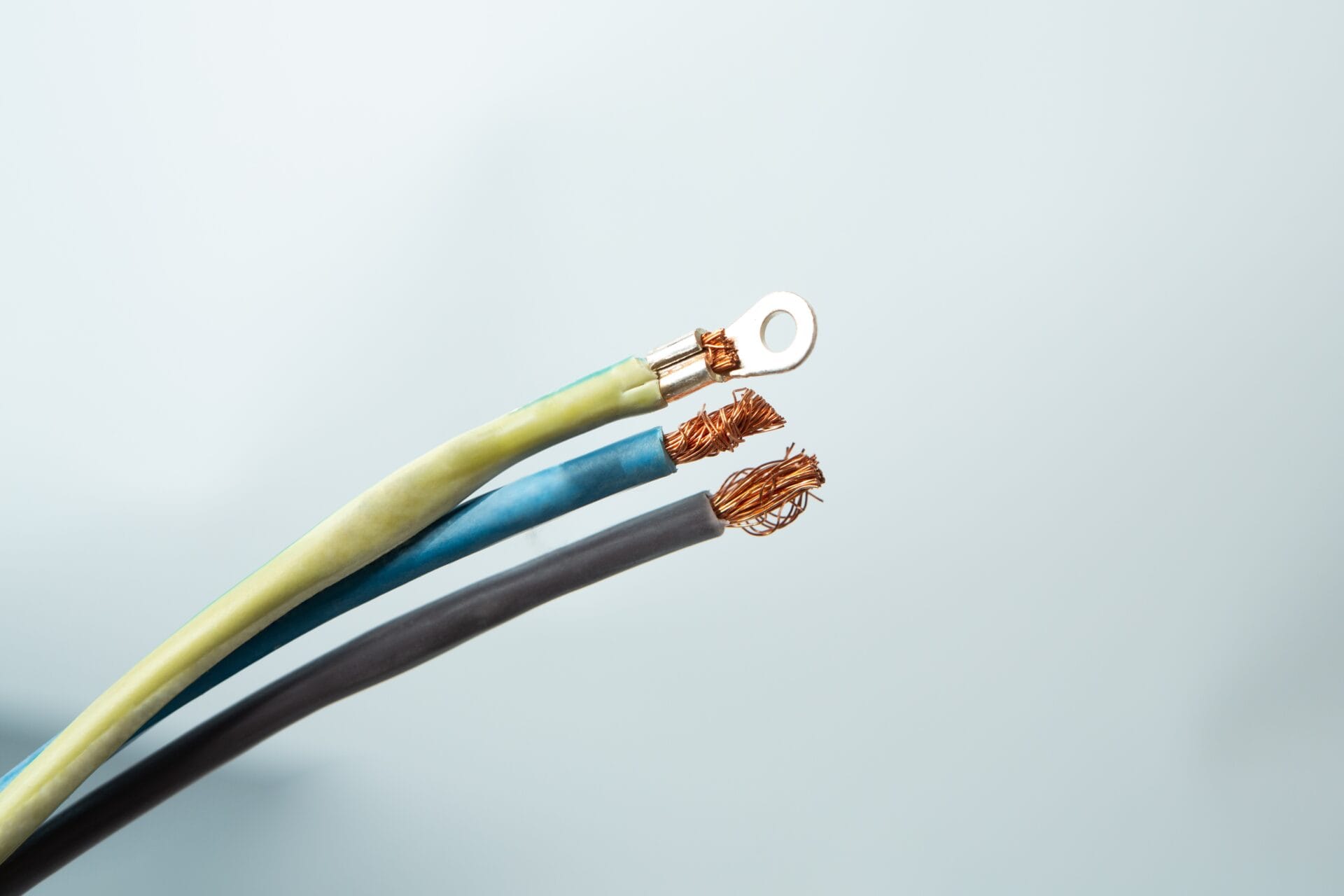 Three exposed electrical wires, one with a metal ring terminal, against a light grey background.