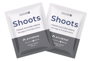 Box of 10 Plant Cell Shoots™ Tissue Culture Media by Athena, for storage and multiplication, 750 ml each.