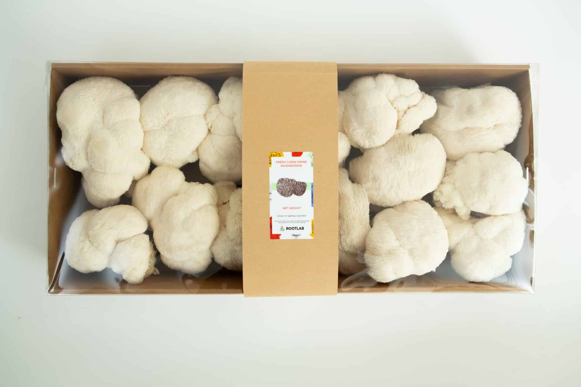 Fresh Lion’s Mane mushrooms in a clear mushroom punnet with a brown paper label, available for collection only in Sydney—perfect for local food lovers.