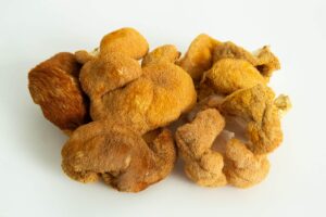 A cluster of wild, brown, fuzzy Freeze-Dried Mushroom Lion’s Mane on a white background.