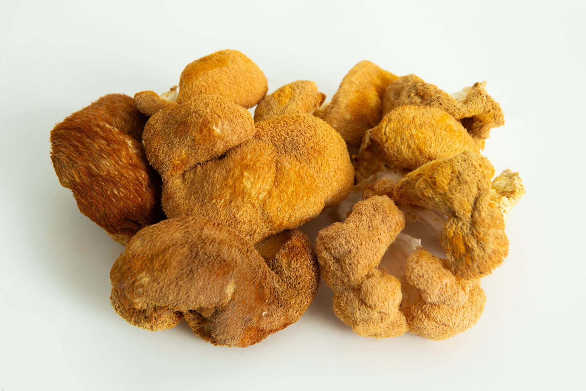 A cluster of wild, brown, fuzzy Freeze-Dried Mushroom Lion’s Mane on a white background.