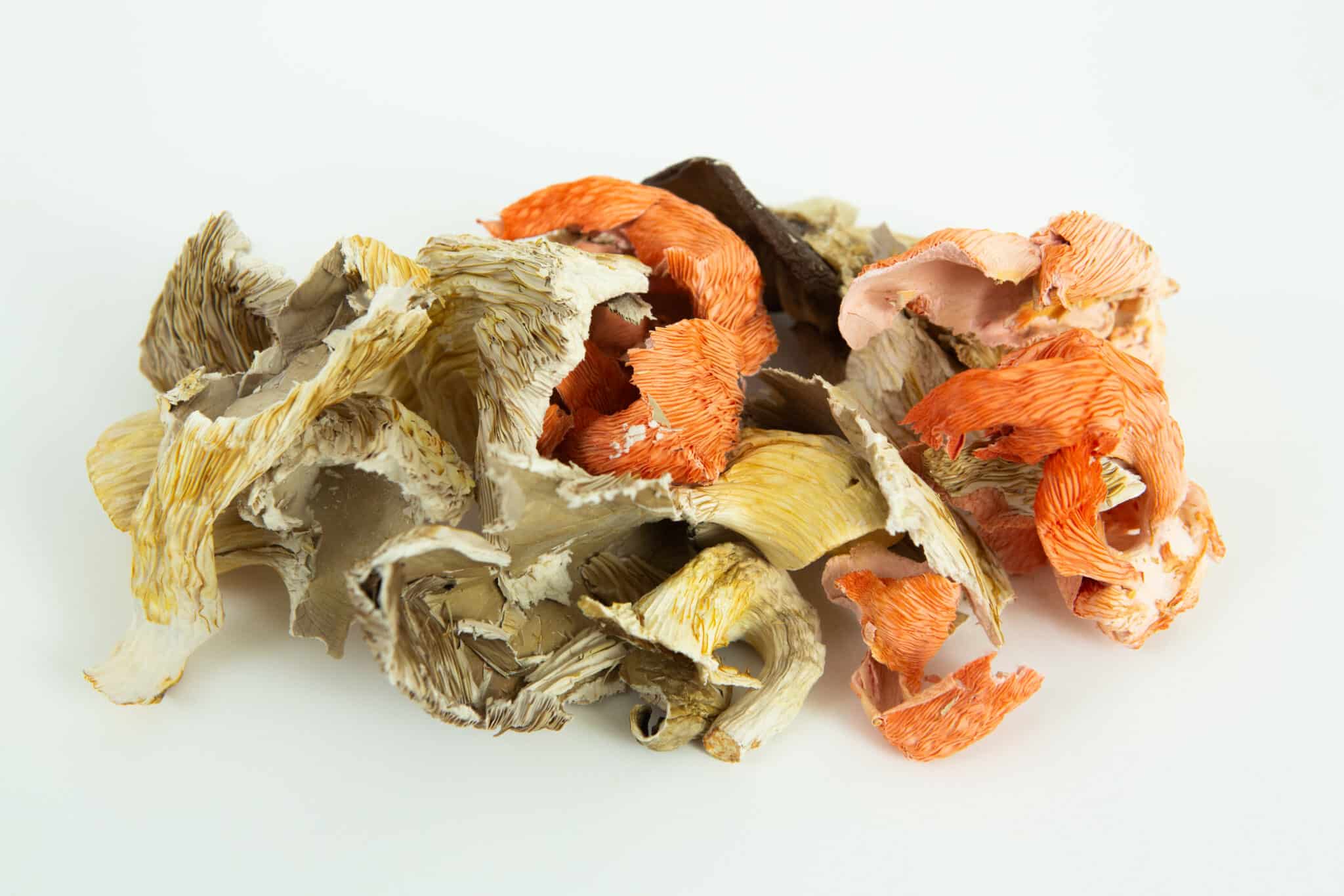 A pile of Dehydrated Oyster Mushroom in beige, orange, and brown shades on a white background.