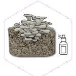 Block with spray with hexagon 01