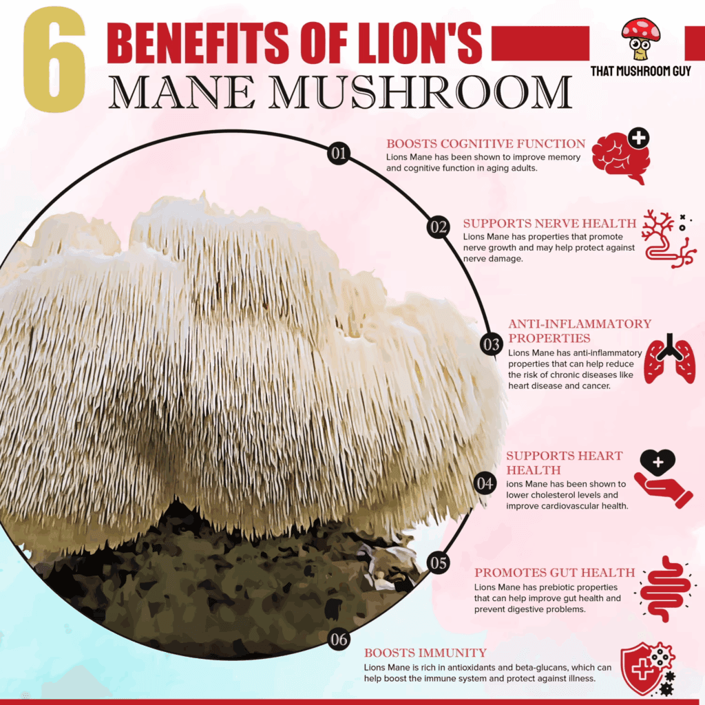 Lion's Mane Supplements 3 Large Lion’s Mane mushroom with six health benefits of Lion’s Mane supplements listed around it in bold text and decorative icons.