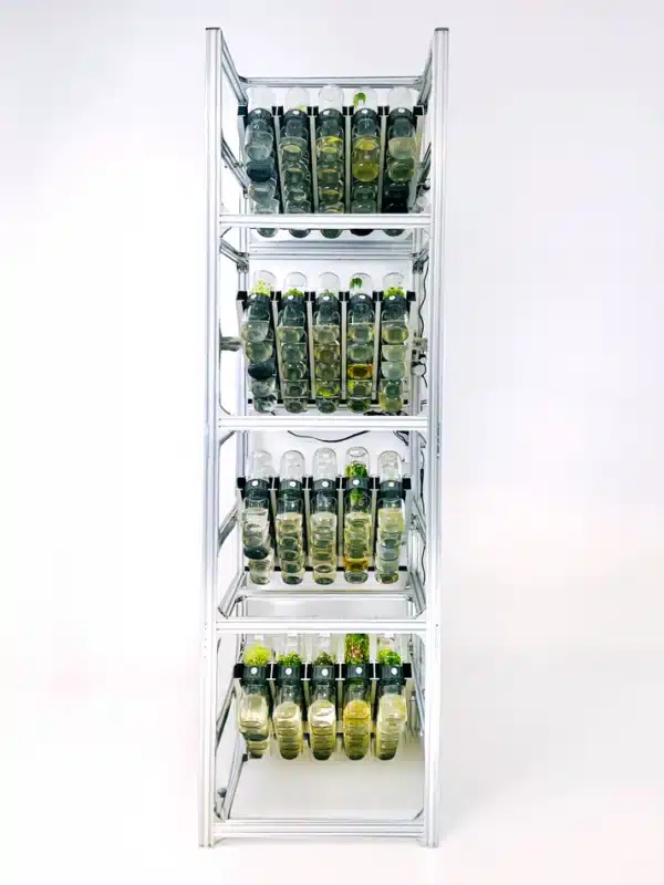 The Plant Cell BioTilt™ 25 metal rack holds multiple rows of clear bottles with green caps, each containing liquid—perfect for Plant Cell culture experiments.