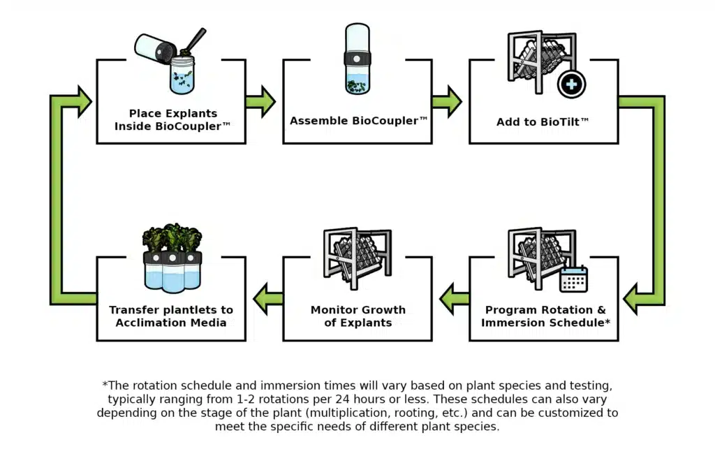 A diagram showing six steps for plant growth: placing, assembling, adding, programming, monitoring, and transferring.