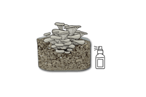 Mushroom Grow Kit - Spray and Grow