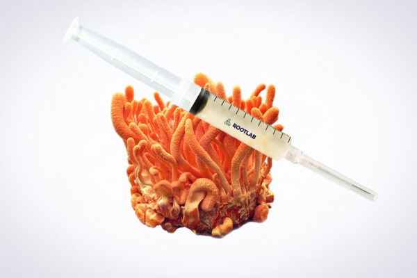 A syringe filled with liquid rests on top of a bright orange coral-like fungus against a white background.