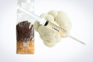 A syringe with a needle next to a bag of soil.