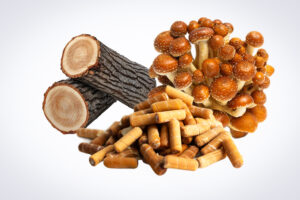 Shiitake mushrooms, logs, and wood pellets arranged on a white background.
